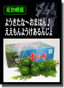 �Y�n���I���g�̓��Y�i���߂����ς��I
